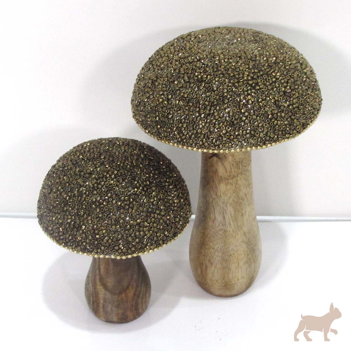 Set hongos