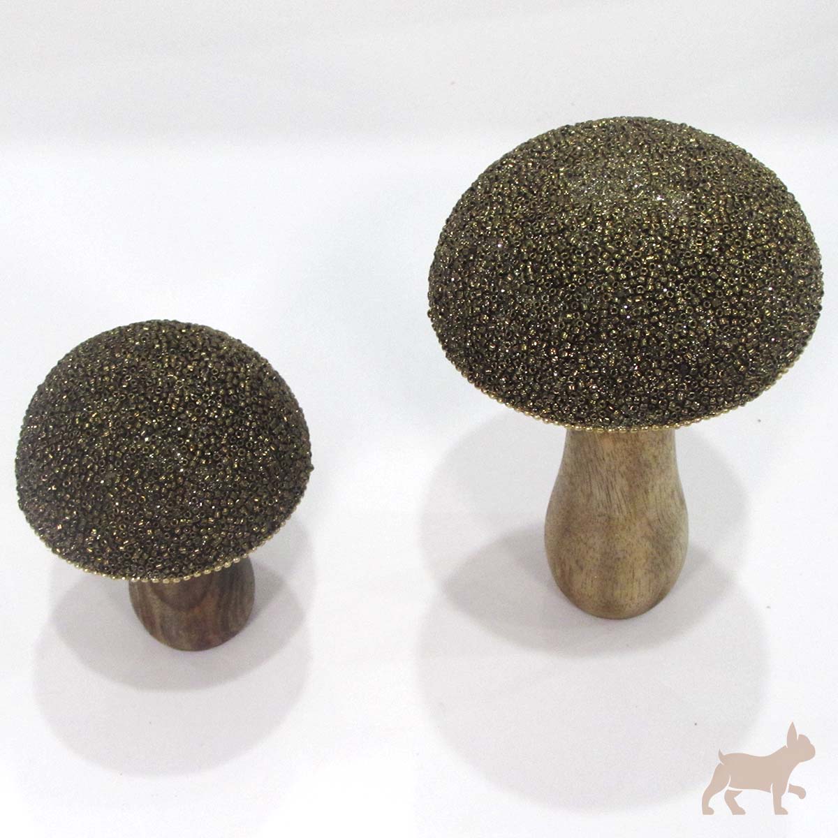 Set hongos