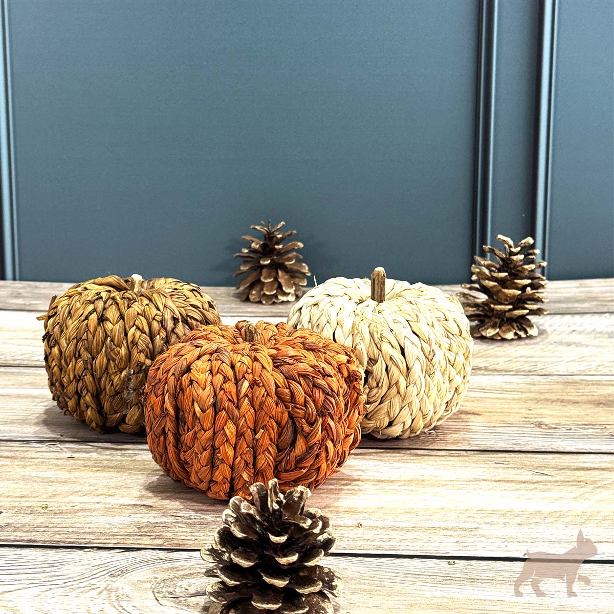 Set 3 calabazas tejidas