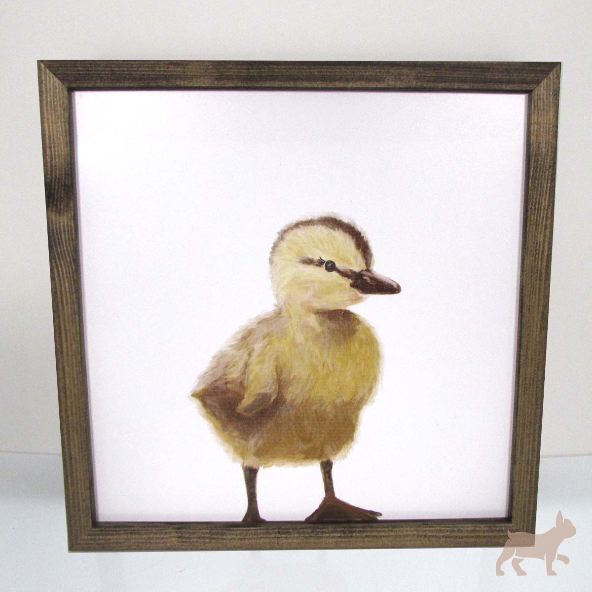 Cuadro patito