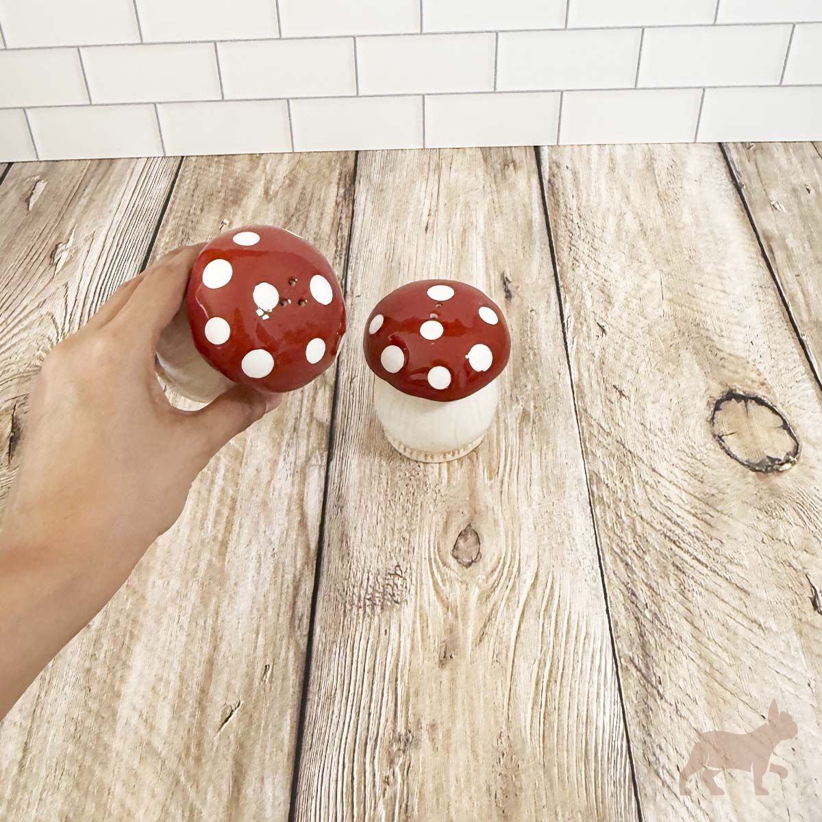 Kit de sal y pimienta diseño de Hongos