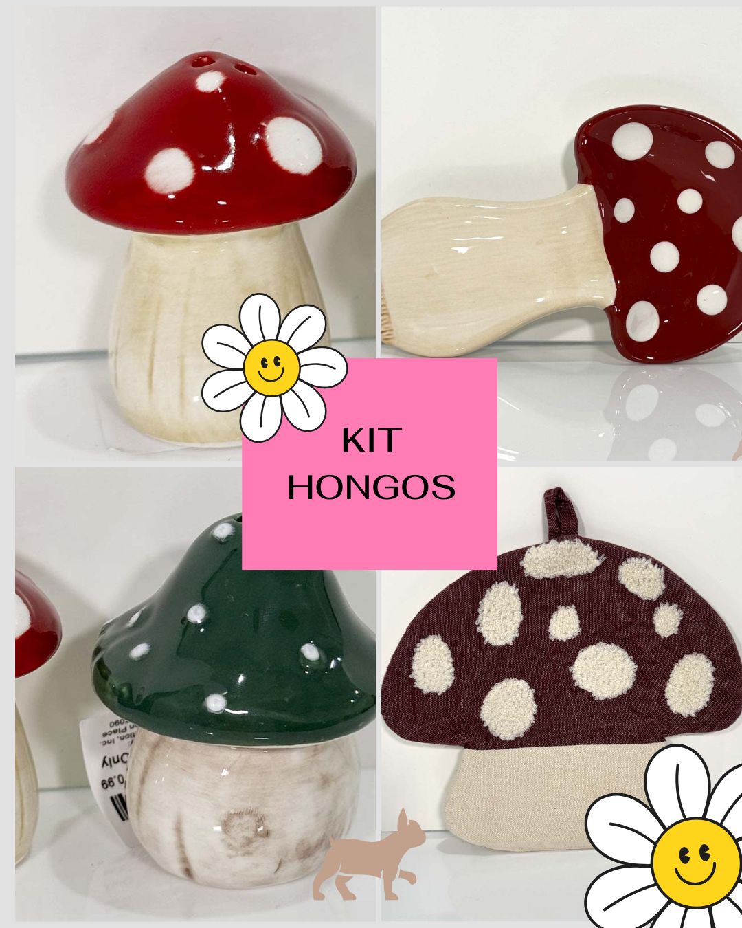 KIT HONGOS