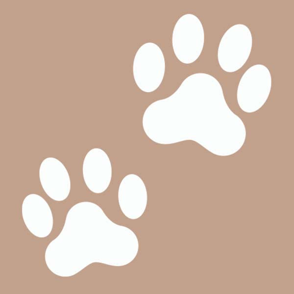 MASCOTAS