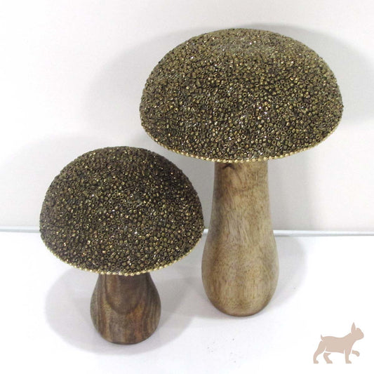 Set hongos