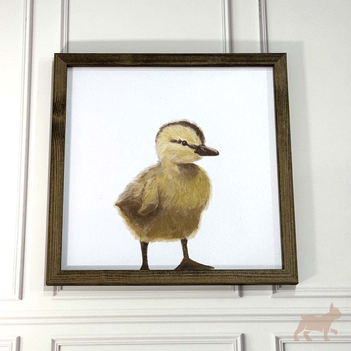 Cuadro patito