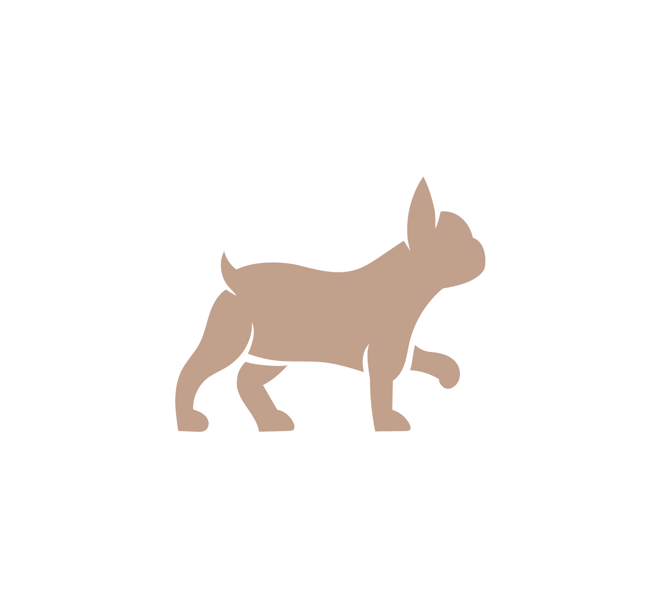 Bowl de Cerámica para Gato “MEOW”